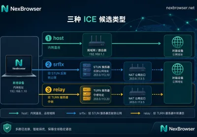 从检测页一串 .local 主机名说起：WebRTC 本地 IP 被 mDNS 替换后，还要核对哪些信息？
